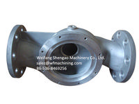 OEM Precision Casting Pump Body for Water Pump